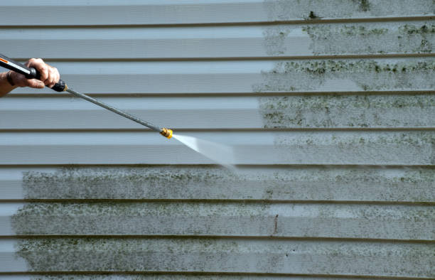 Best Gutter Cleaning and Brightening in USA